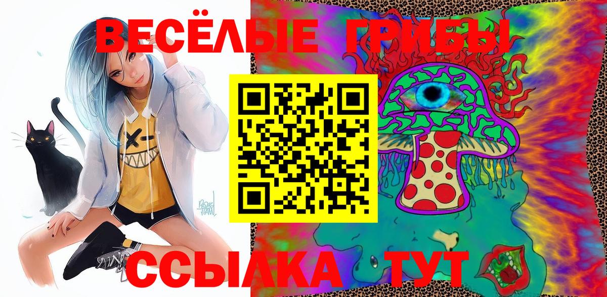 Галлюциногенные грибы Psilocybine cubensis Миллерово