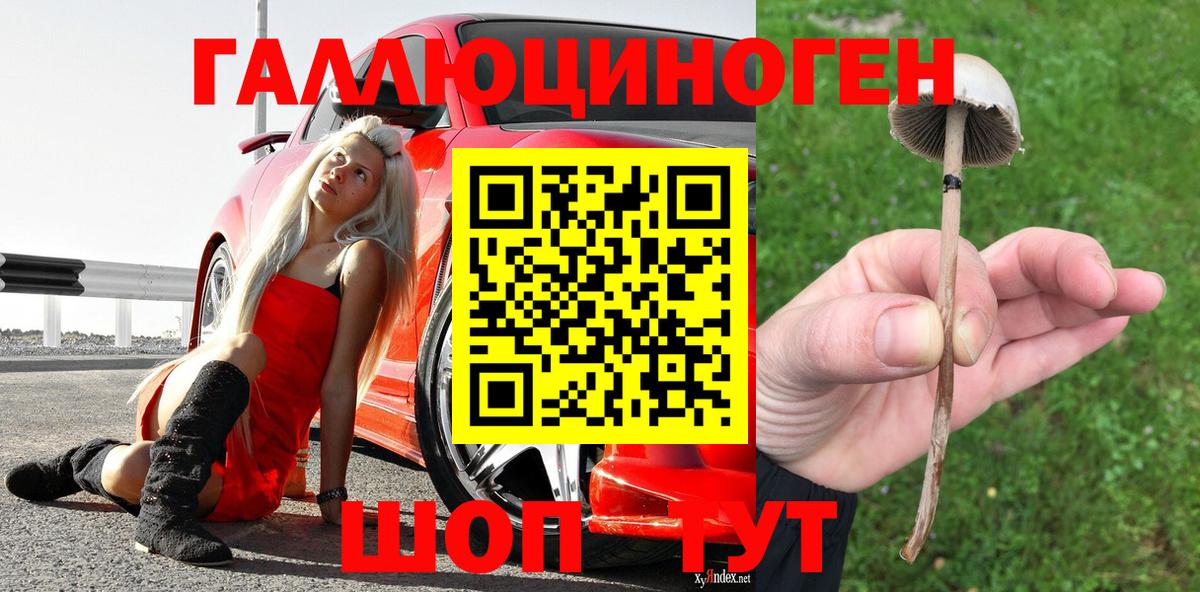 даркнет сайт  Галлюциногенные грибы Psilocybe  Вход с VPN  Миллерово 